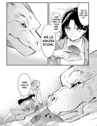 hoa giai di chung toc thumb Trang Chủ